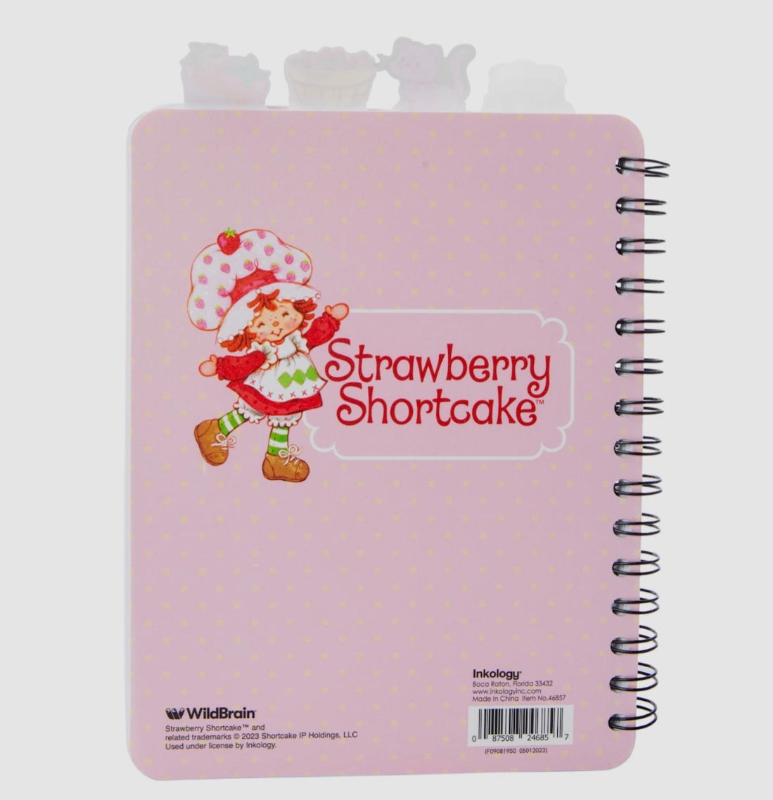 Strawberry Shortcake Tab Journal Notebook