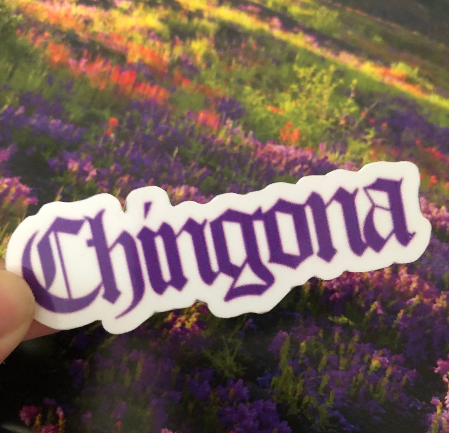 Chingona sticker
