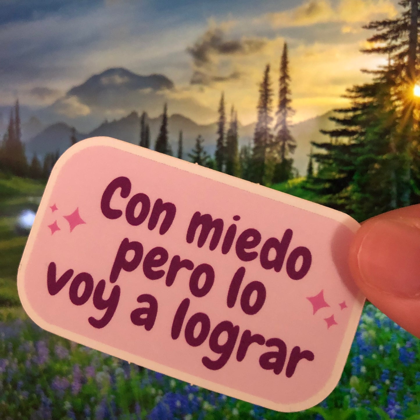 Con miedo pero lo voy a lograr sticker