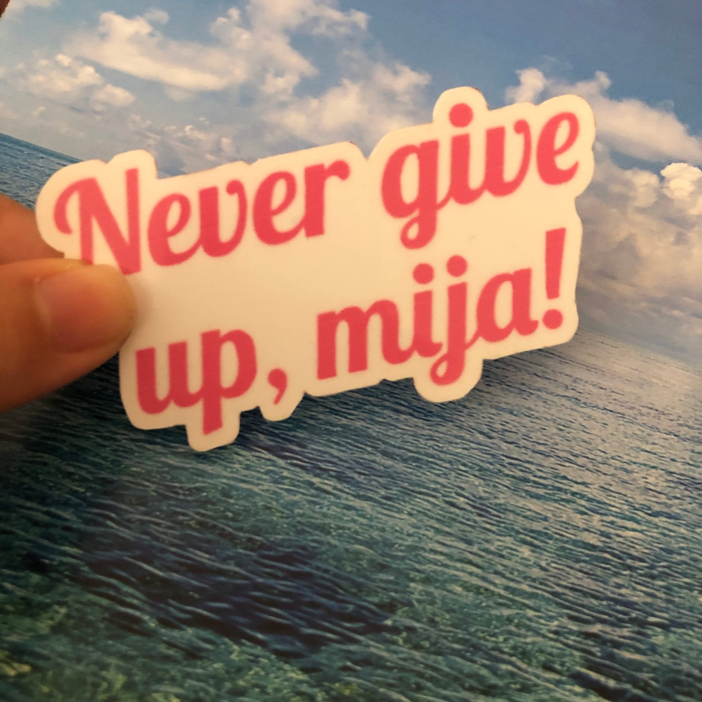 Never give up, mija! sticker