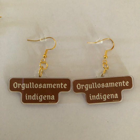 Orgullosamente indígena earrings